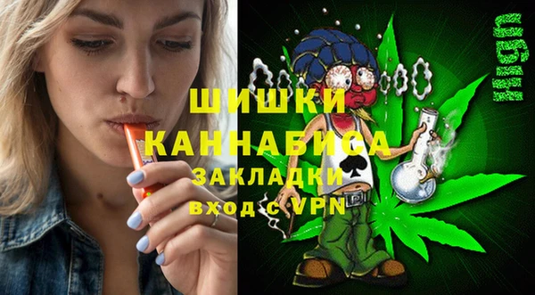мдпв Карпинск