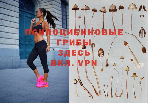 ПСИЛОЦИБИНОВЫЕ ГРИБЫ Козельск