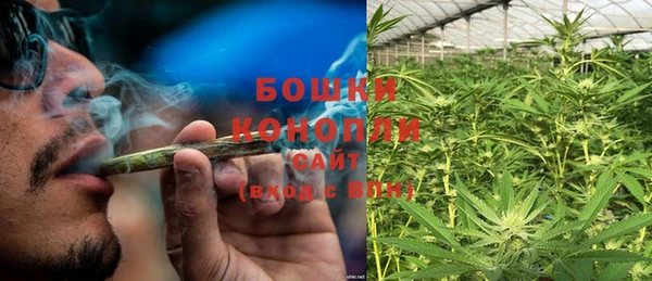 ПСИЛОЦИБИНОВЫЕ ГРИБЫ Козельск